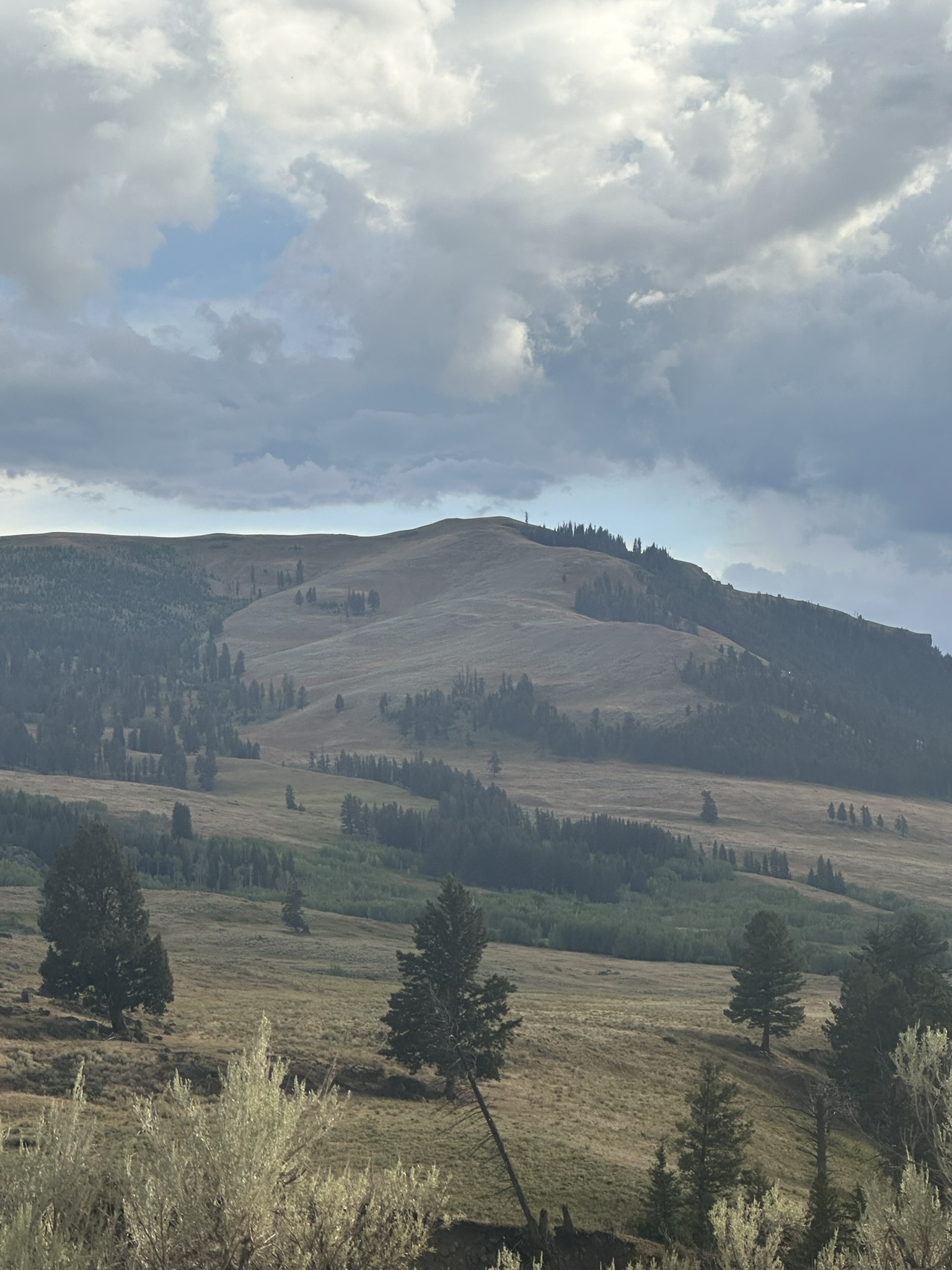 Yellowstone And Grand Teton National Parks - Image 1114